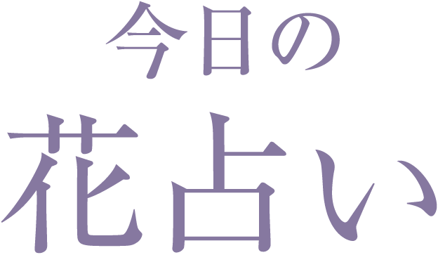 今日の花占い